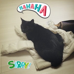 みゃーちゃん２.jpg