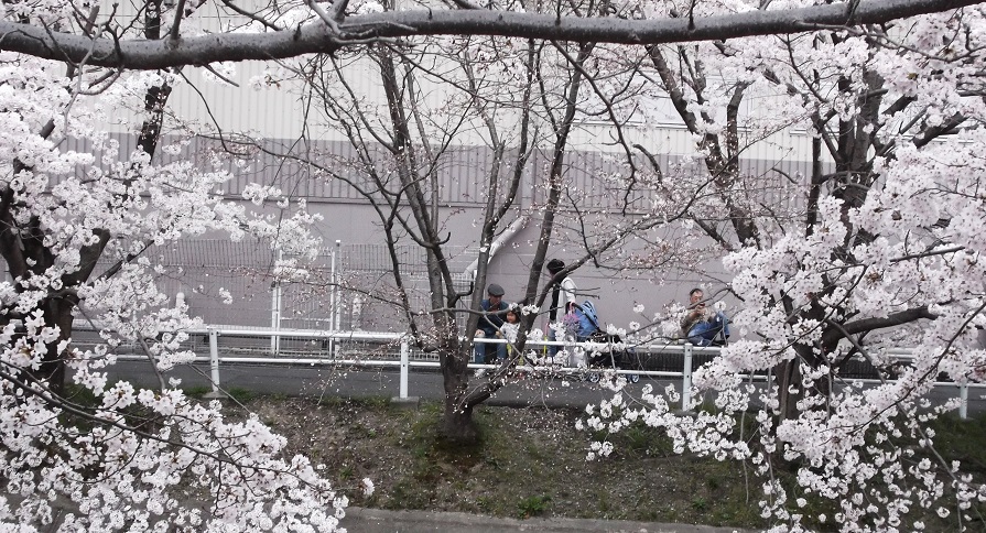 DSCF1629.JPG