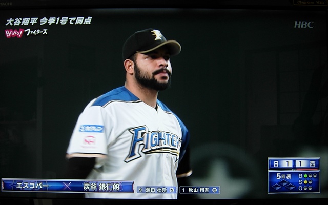 DSCN3631.JPG