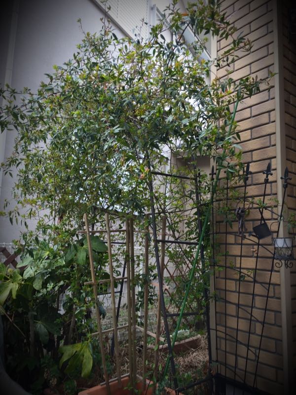 rblog-20160328174229-06.jpg