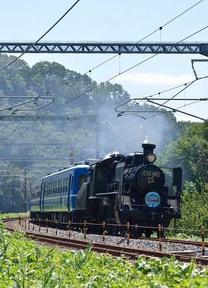 1号 D7100.jpg