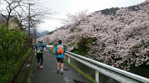 rblog-20170409185141-01.jpg