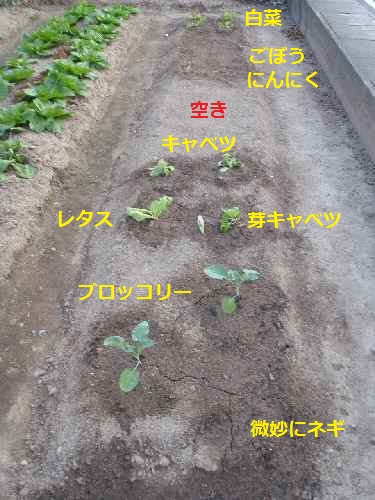 PA21畑.jpg