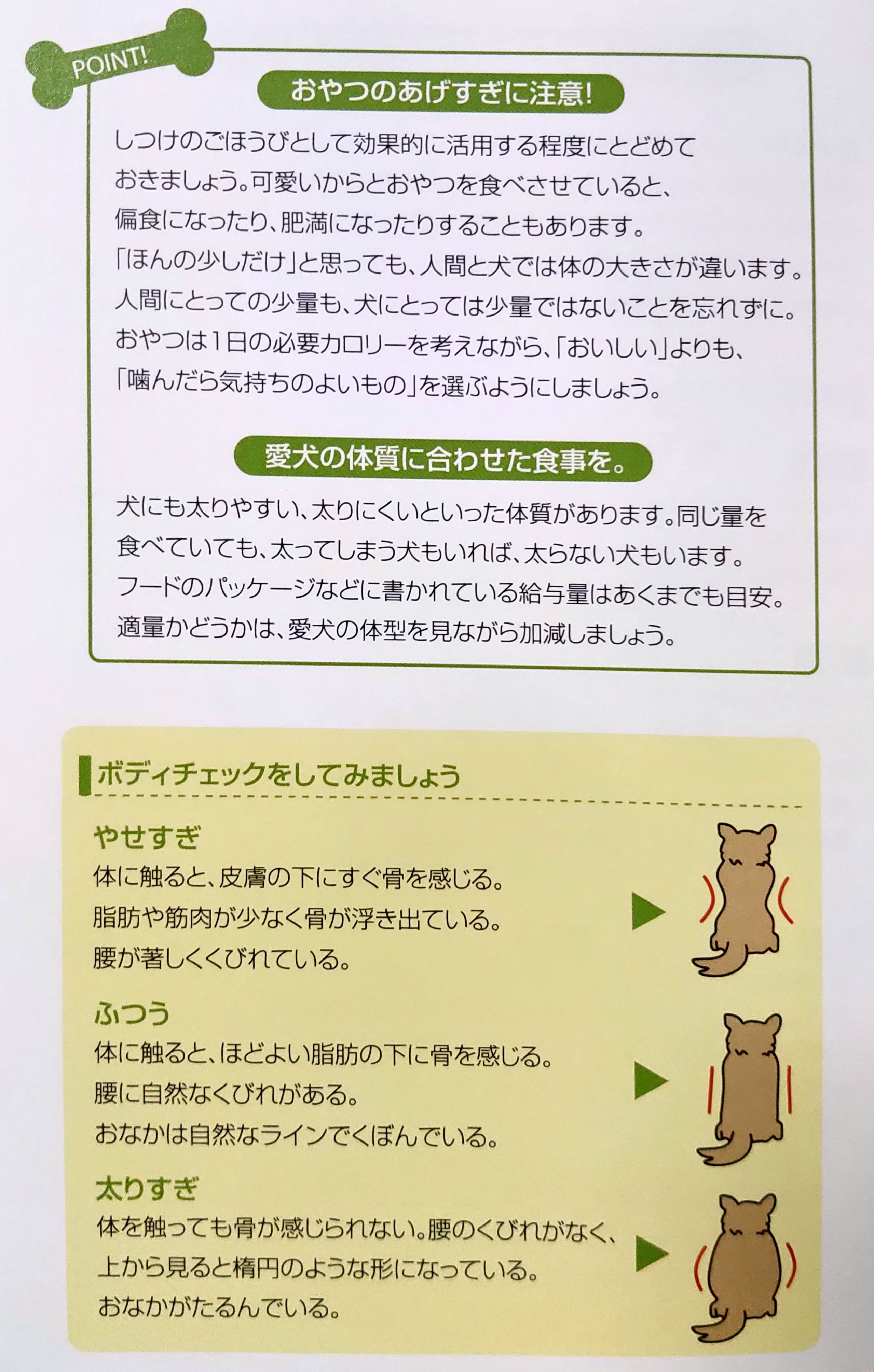 仔犬の食事量を考える ᴥ Leo R 楽天ブログ