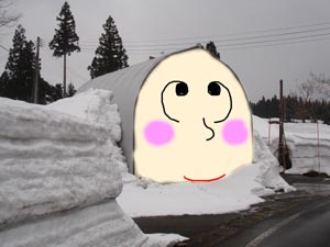 顔