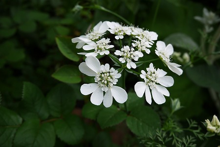 P1000837.jpg