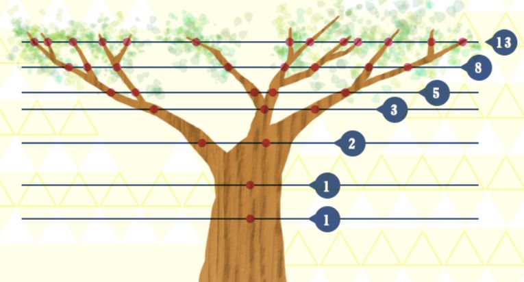 フィボナッチ数列4