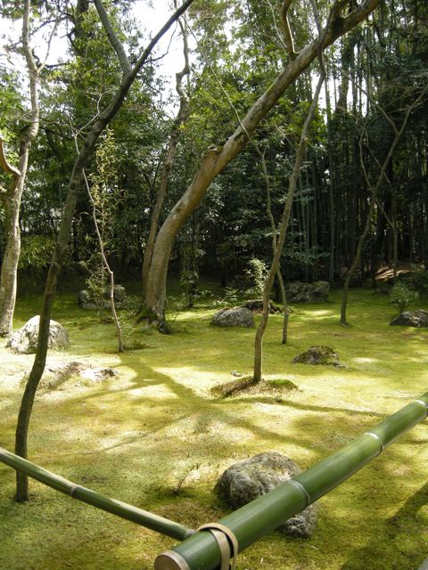 京都旅行～大徳寺３