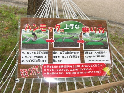 8.JPG