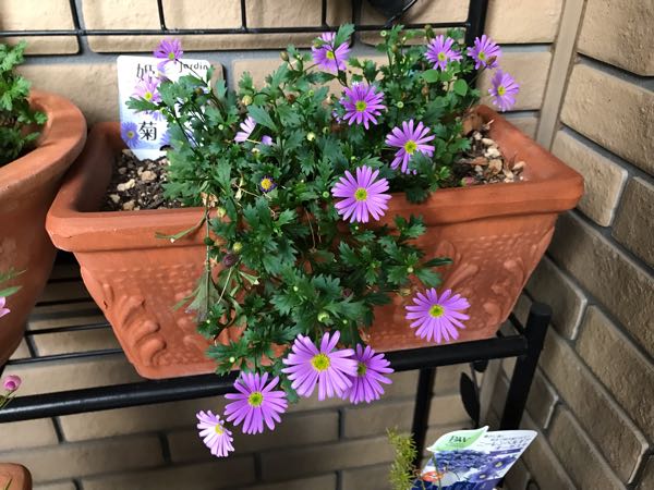 rblog-20190423182021-07.jpg