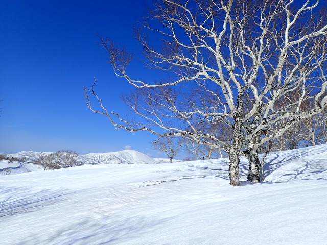 P3300873　12：48余市岳を.jpg