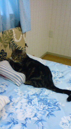 20120917080744.jpg