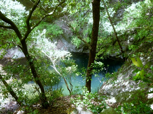 065 (500x375).jpg