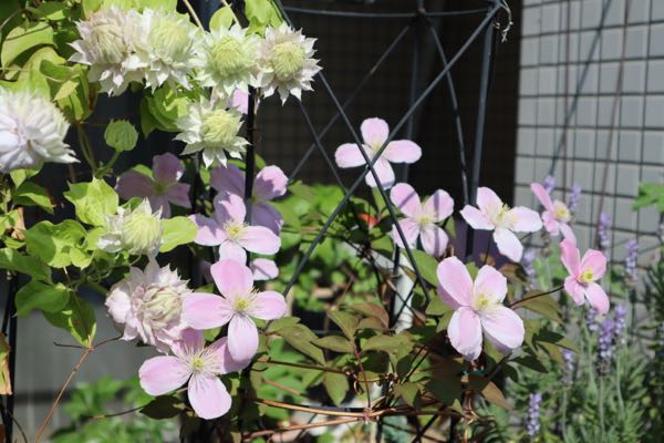 rblog-20180425081837-04.jpg
