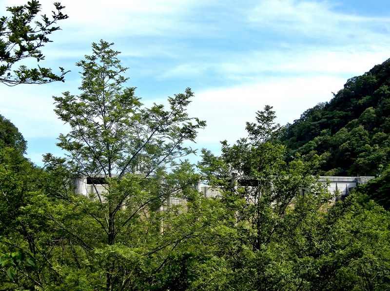 遊歩道6