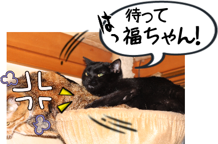 IMG_0503.png