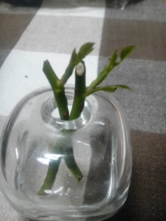 2014-06-26 11:56:29