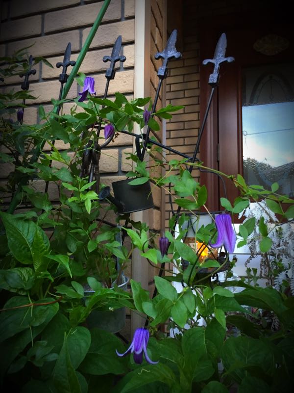 rblog-20160710211216-02.jpg