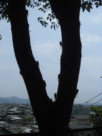 CIMG6911.JPG