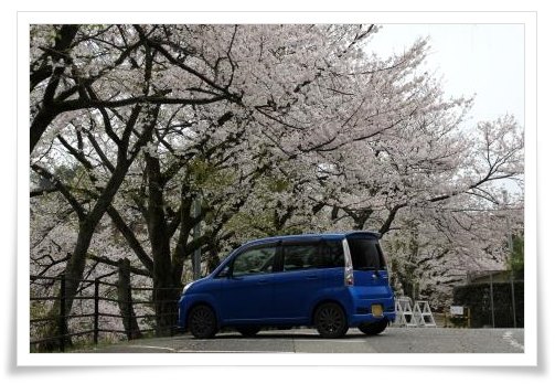 奥卯辰山健民公園・大池-12 15.4.13