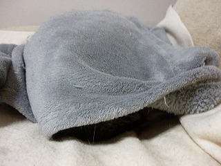 P1270423ss.jpg