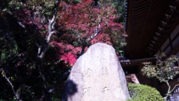 121110深大寺紅葉.JPG
