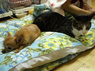 メイ＆サン