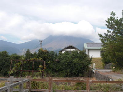 IMG_0001_207.jpg