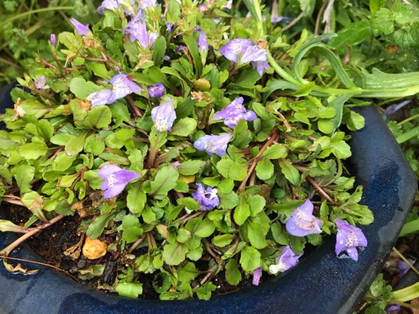 rblog-20190401163447-02.jpg