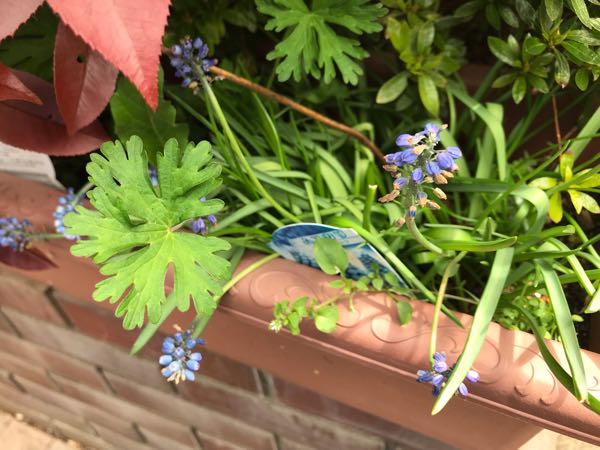 rblog-20190421190411-06.jpg
