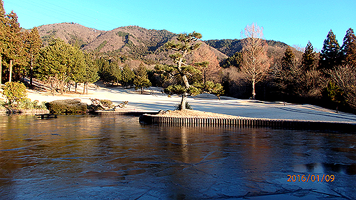 P1092323h2.jpg