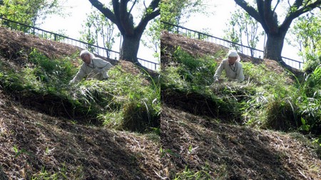 草を刈る人