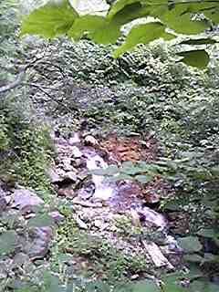 120817_125358.jpg