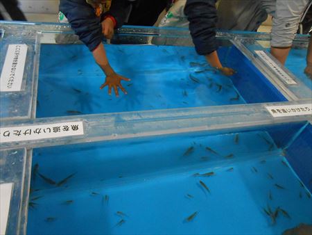 越前松島水族館