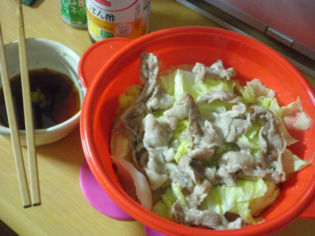 PB100058.JPG