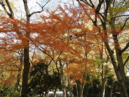 井の頭自然文化園