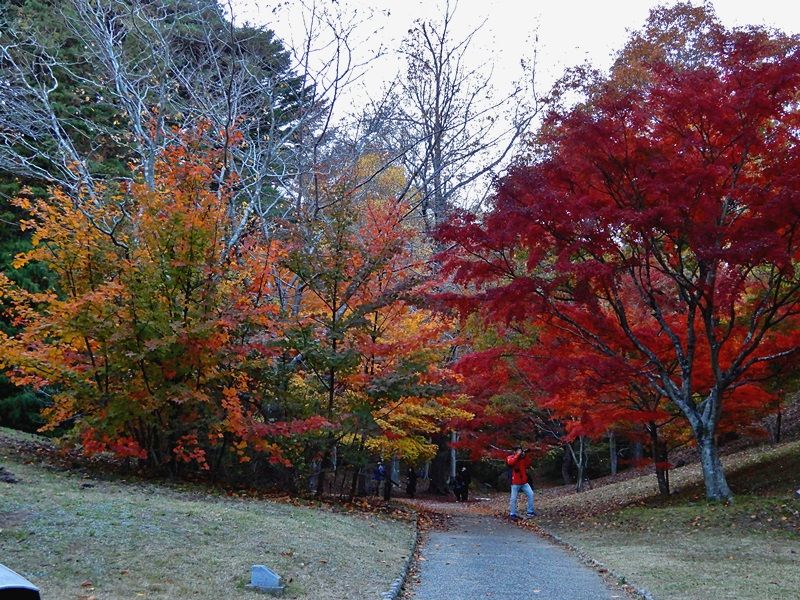 芝生広場3