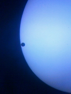 金星の太陽面通過.jpg
