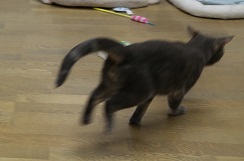 5DA_7017-16.jpg