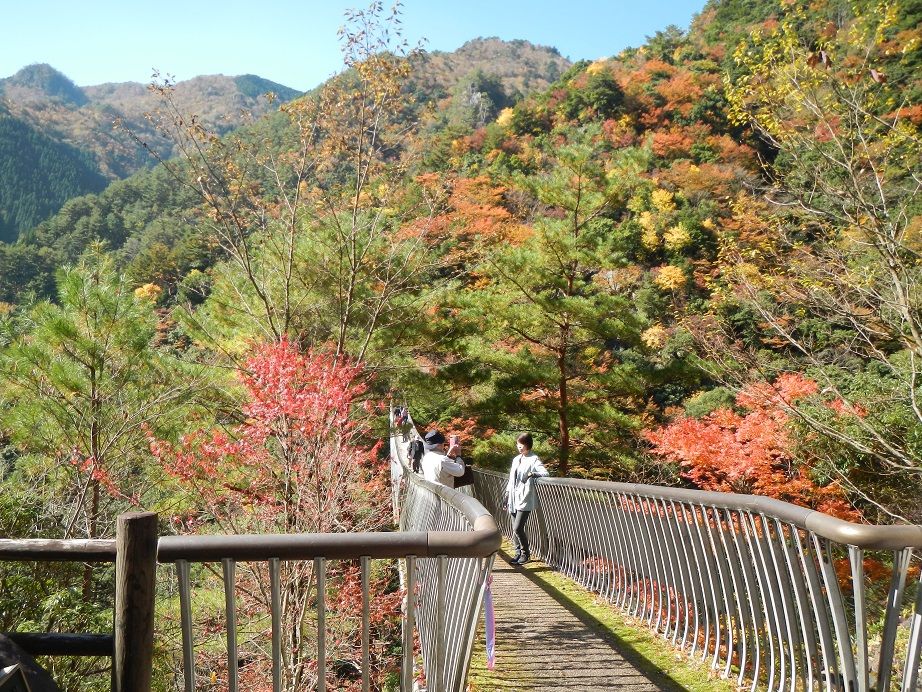 11 9 熊本県内の紅葉スポットを巡る バイク旅 中年オヤジライダーの妄想日記 楽天ブログ