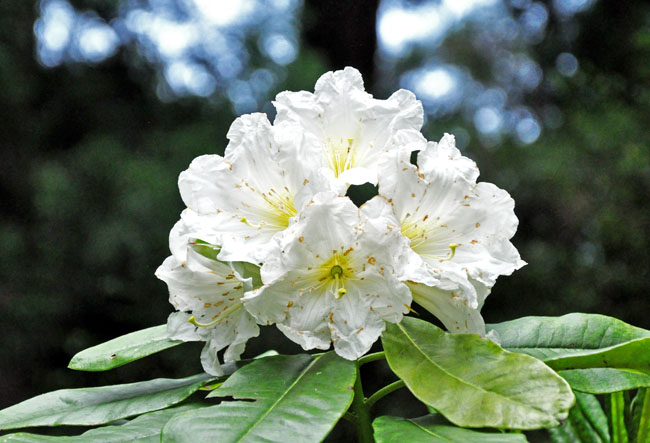 門４