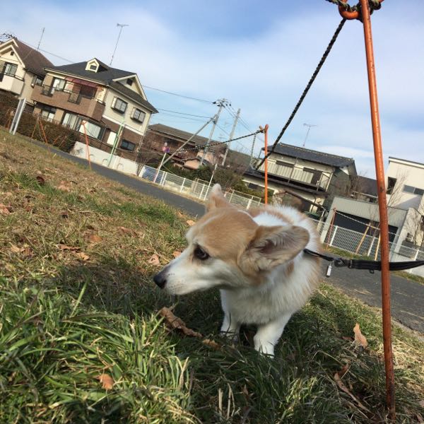 rblog-20180210094101-01.jpg