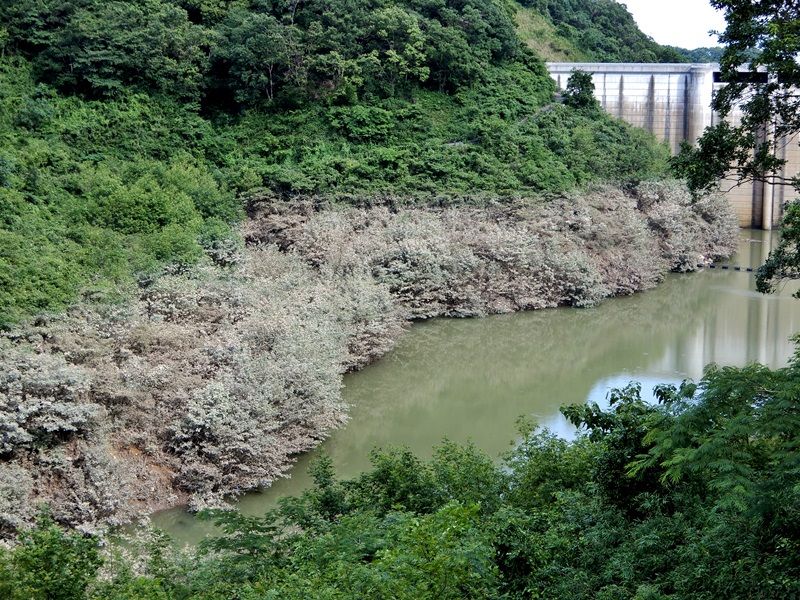 石井ダム4