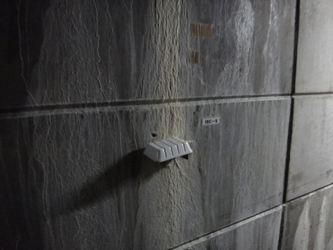 DSC01890.JPG