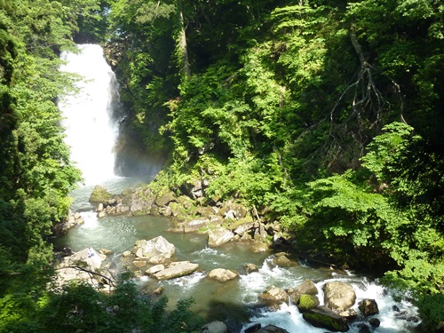 奈曽の白滝