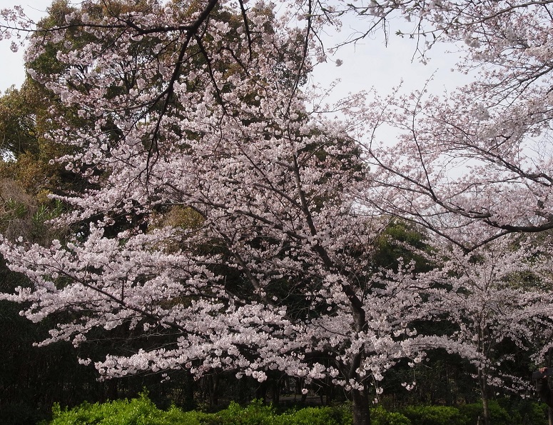 20160401辰巳2