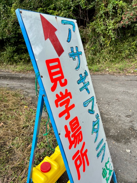 今年も見れました(^-^) | お気楽けった生活 - 楽天ブログ
