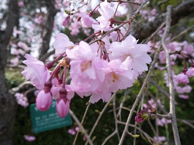 P1000402.JPG