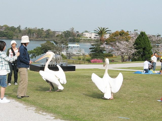 カッタくん さようなら やさしさをありがとう プラモデルの戦士たち The Realistic Modeler 楽天ブログ