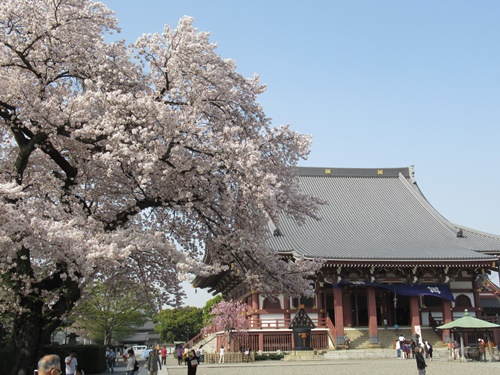 池上本門寺 ＆ 池上本門寺周辺にて